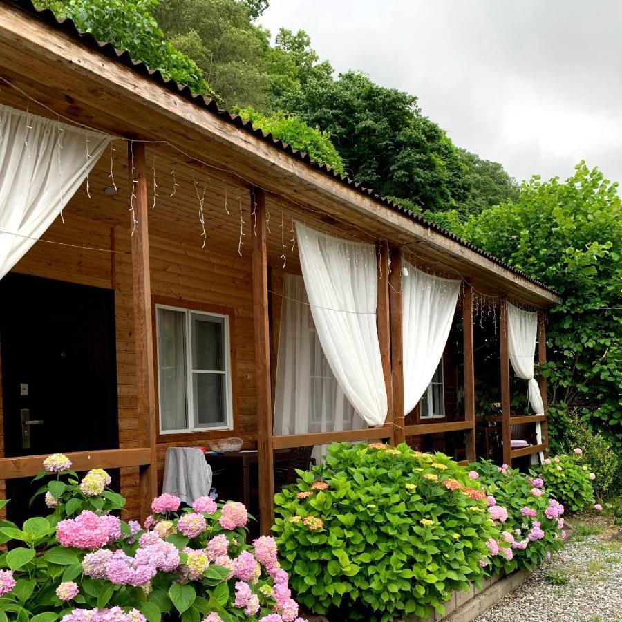 Guest House Ahan Гагра Екстериор снимка