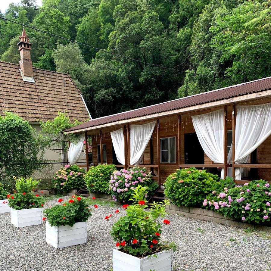 Guest House Ahan Гагра Екстериор снимка